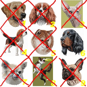 patch écusson brodé, chien de chasse et de compagnie, chat, sport canin, thermocollant ou à coudre by team-numerik