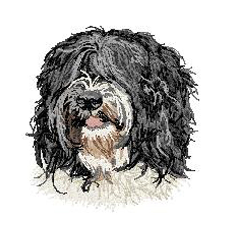 bearded collie,Schapendoes,Bobtail,bearded collie,patch patch embroidered thermocollant,sewing,embroidery machine,K9,By Team Numerik