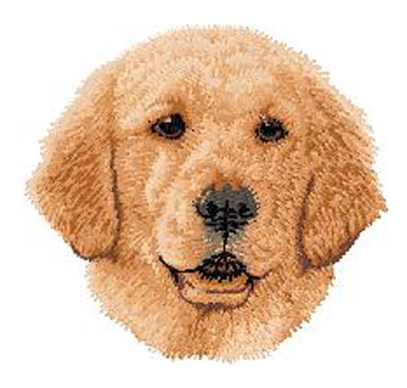 Golden retriever crest embroidered patch gift for dog  etsy