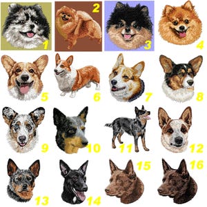 Australian Cattle Dog, Kelpie, Corgi, badge, embroidered patch, dog breed, machine embroidery, canine embroidery, K9, By Team Numerik