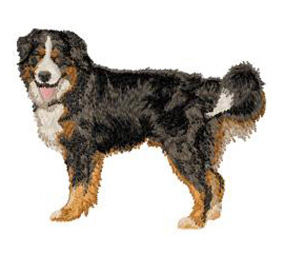écusson Patch Brodé Thermocollant Ou à Coudre Race De Chien Bouvier Bernois Broderie Machine By Team Numérik