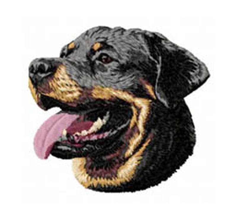 Posa Di Cucciolo Di Rottweiler Con Classificazione Del Colore Dell'aria - Foto 8