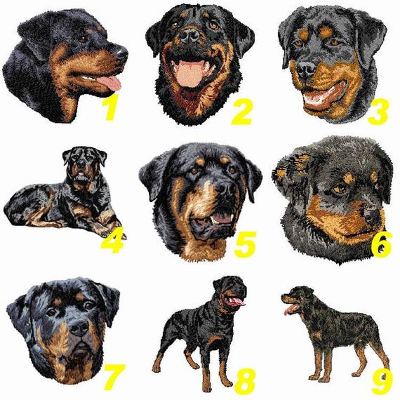 Rottweillerécusson Brodé Thermocollantpatch Brodérace De Chienrottbroderie Machinethermocollantà Coudrek9bouvierteam Numérik