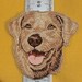 Shield patch embroidered iron or sew sand Labrador dog breed, machine embroidery size S