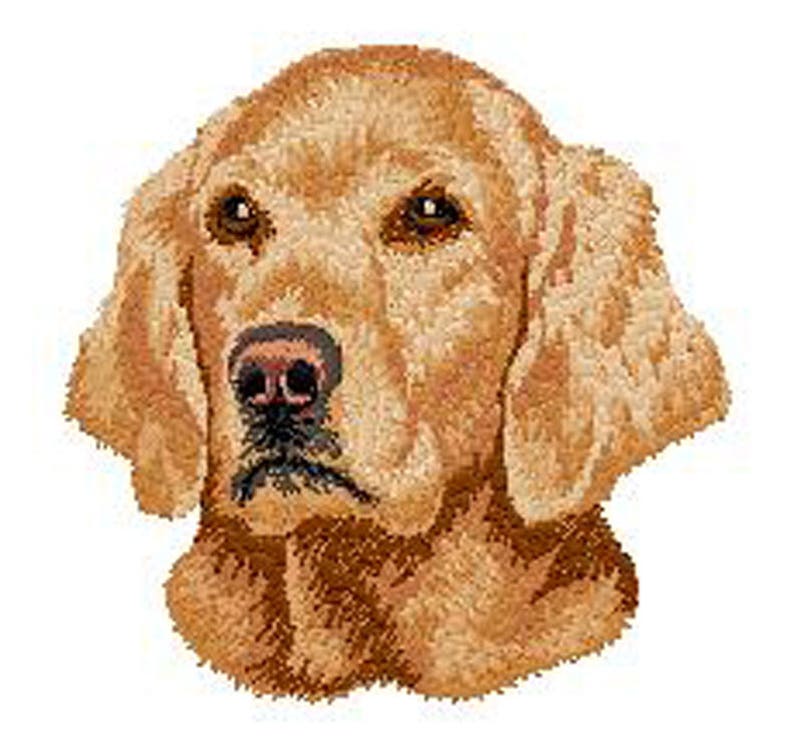 Golden retriever crest embroidered patch gift for dog  etsy Golden retriever crest embroidered patch gift for dog  etsy