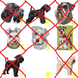 Schnauzer, trigo irlandés de pelaje suave, parche bordado, perro, bordado a máquina, termoadhesivo, para coser, por Team Numérik
