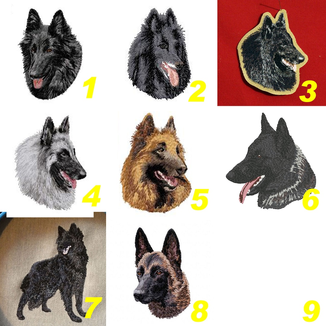 Tervuren Malinois Laekenois Tervuren Belgian Groenendael Belgian