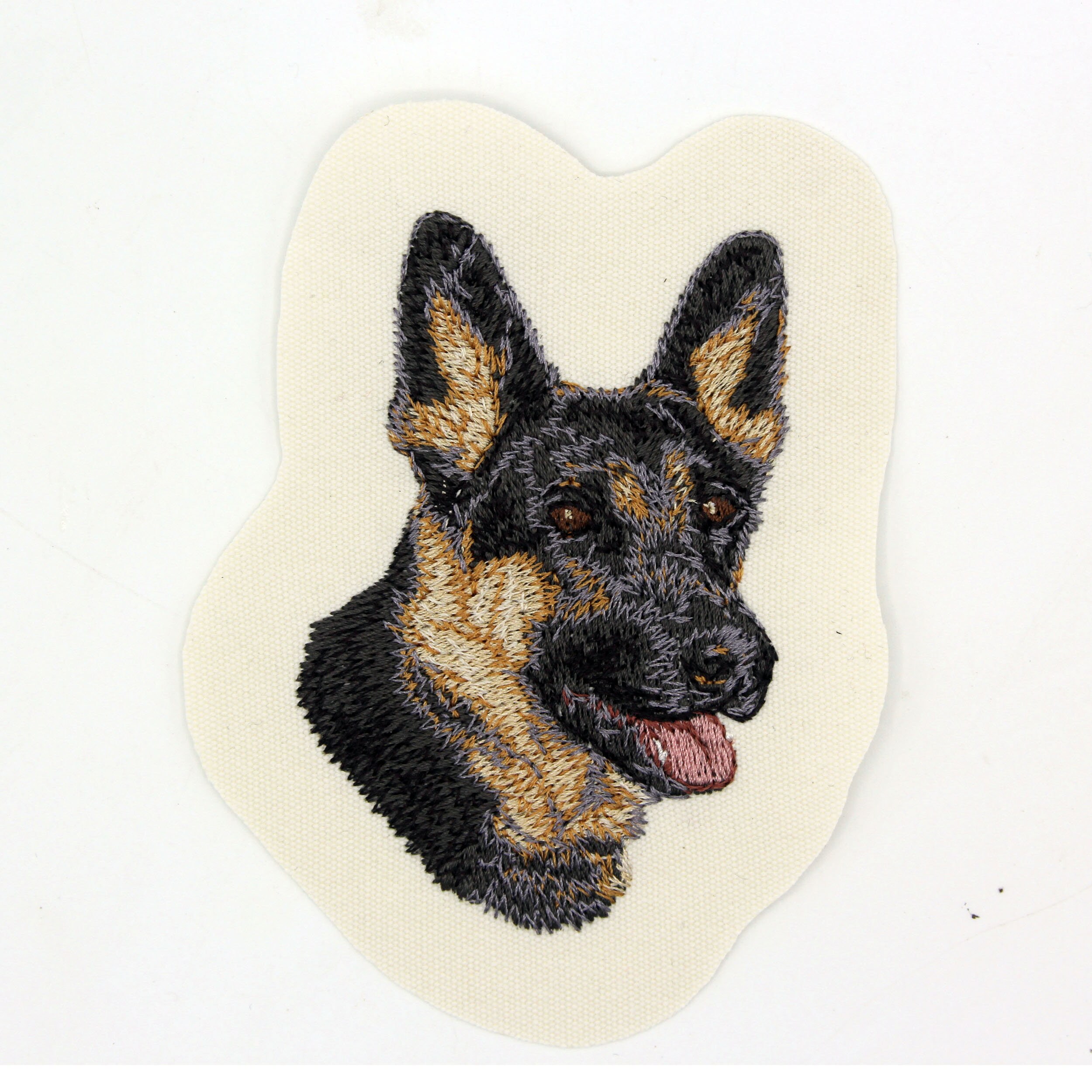 Razze Canine: Il Pastore Tedesco. I Consigli Dell'esperta