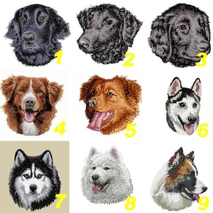 flat coat retriever, Nova Scotia Duck Tolling Retriever, distintivo patch ricamato per cani, ricamo a macchina termoadesivo, cucito, By Team Numérik