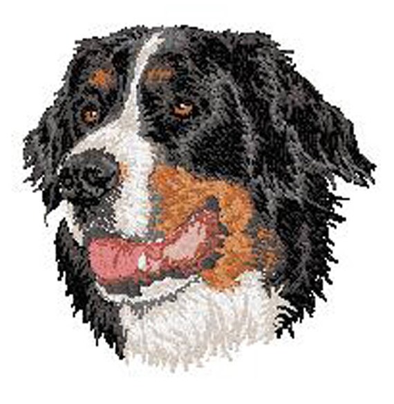 écusson Patch Brodé Thermocollant Ou à Coudre Race De Chien Bouvier Bernois Broderie Machine By Team Numérik