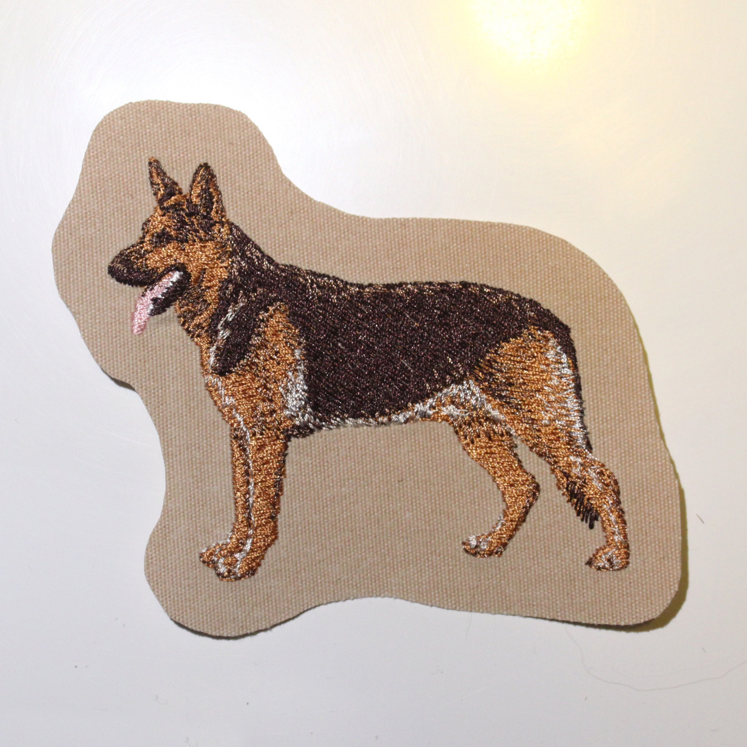 Razze Canine: Il Pastore Tedesco. I Consigli Dell'esperta - Foto 6