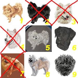 Spitz, embroidered patch, German Spitz, Pomeranian, Affenpinscher, Eurasier, dog embroidery, small dog embroidery, Team Numérik