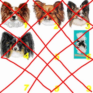 May include: A collection of five embroidered dog portraits featuring Papillon breeds with various coat colors including brown, white, black, and tan. The images are numbered one through four and six, with a bright turquoise background behind the sixth dog.