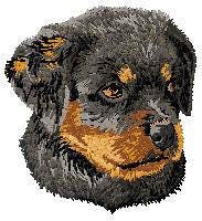 Posa Di Cucciolo Di Rottweiler Con Classificazione Del Colore Dell'aria - Foto 3