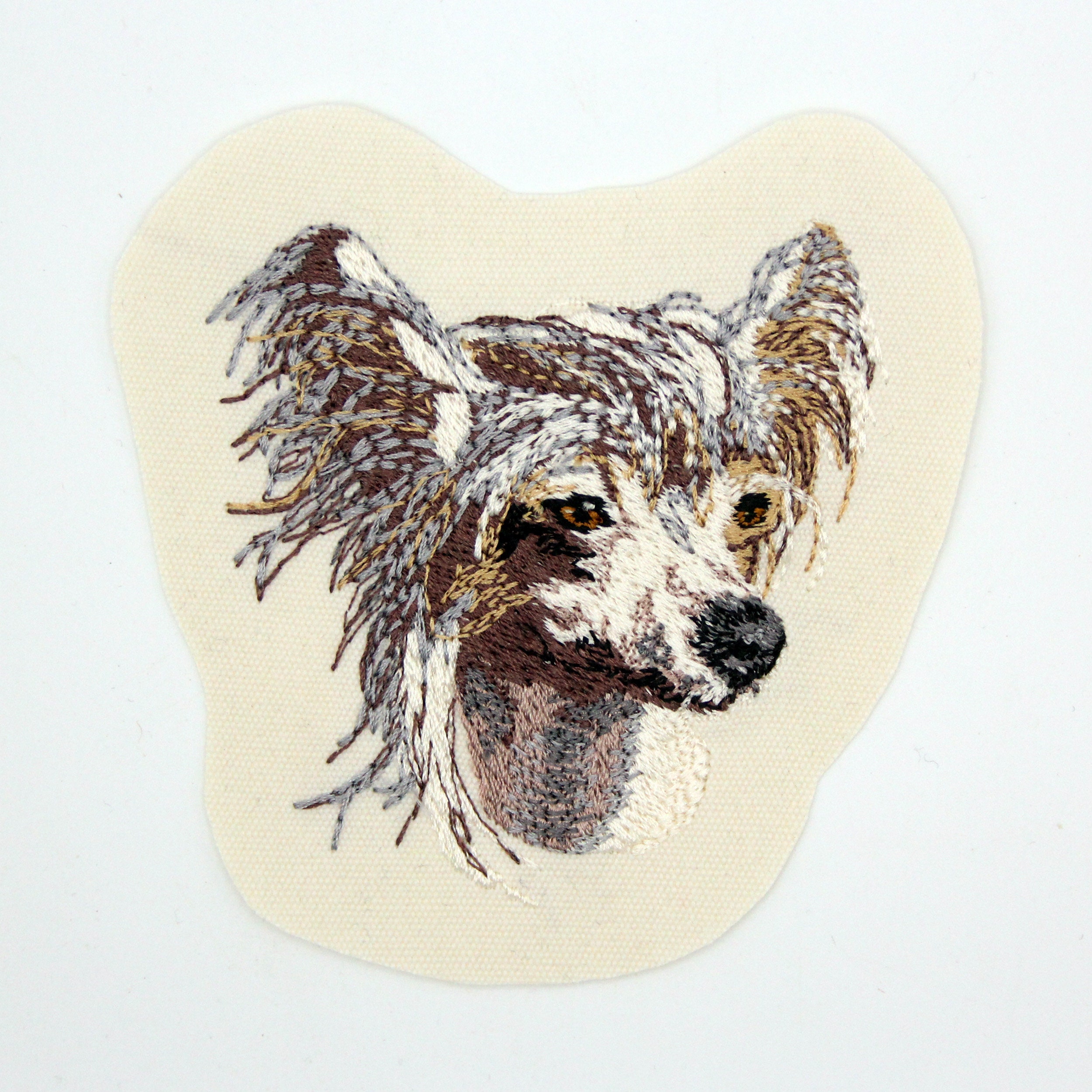 Cane Di Razza Mista Glabro, Miscela Fra Un Bulldog Francese E Un Cane Crestato Cinese, Con Gli - Foto 13