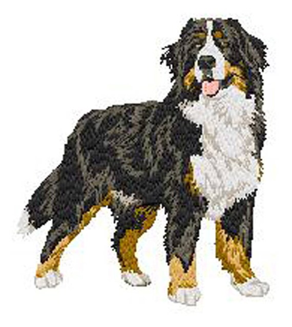 écusson Patch Brodé Thermocollant Ou à Coudre Race De Chien Bouvier Bernois Broderie Machine By Team Numérik
