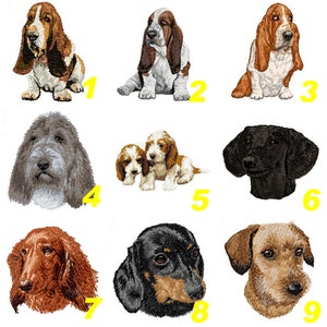 Könnte beinhalten: Das Bild zeigt neun verschiedene Hunderassen. Die Hunde sind alle in verschiedenen Posen, einige sitzen, einige stehen und einige liegen. Die Hunde sind alle in verschiedenen Farben und Rassen, darunter ein Basset Hound, ein Dackel und ein Terrier.