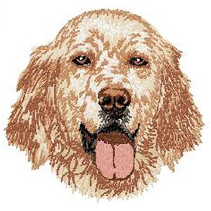 May include: A close-up of a white and brown English Setter dog with its tongue sticking out. The dog has a white face with brown spots and brown ears.