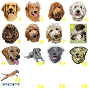 Labrador,retriever,écusson,patch brodé,retriever sable marron noir, broderie machine, thermocollant,à coudre,K9,by team numérik,