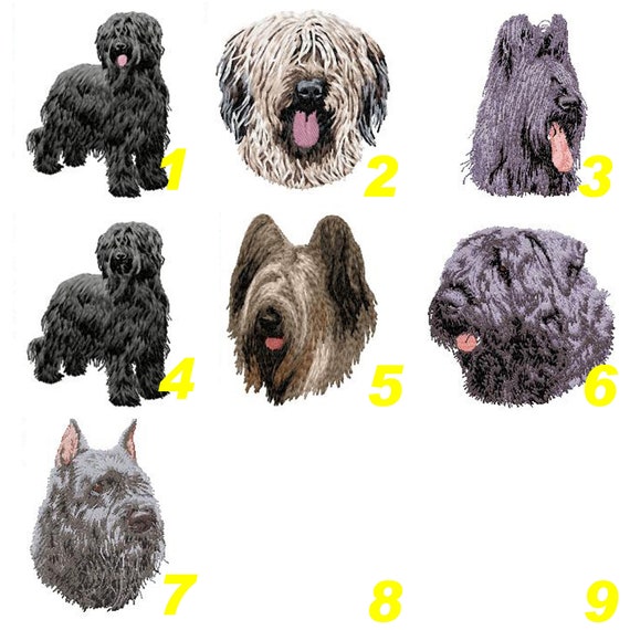 Briard Berger De Brieécusson Bouvier Des Flandres Patch Brodébroderie Machine Thermocollantà Coudrek9briard Momby Team Numérik