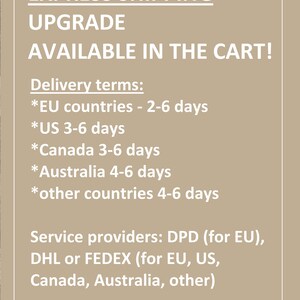 Pode incluir: Texto sobre um fundo bege que diz "EXPRESS SHIPPING UPGRADE AVAILABLE IN THE CART!" Termos de entrega: *Pa&iacute;ses da UE - 2-6 dias *EUA 3-6 dias *Canad&aacute; 3-6 dias *Austr&aacute;lia 4-6 dias *Outros pa&iacute;ses 4-6 dias Fornecedores de servi&ccedil;os: DPD (para a UE), DHL ou FEDEX (para a UE, EUA, Canad&aacute;, Austr&aacute;lia, outros)