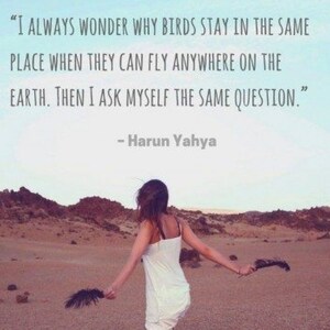 May include: A woman with long brown hair walks away from the camera in a desert landscape. The quote "I ALWAYS WONDER WHY BIRDS STAY IN THE SAME PLACE WHEN THEY CAN FLY ANYWHERE ON THE EARTH. THEN I ASK MYSELF THE SAME QUESTION." by Harun Yahya is displayed at the top of the image.