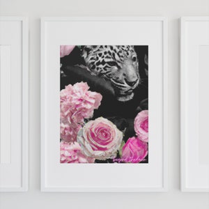 May include: A black and white photo of a leopard's face with pink roses and the text "beyond the dawn" in pink.