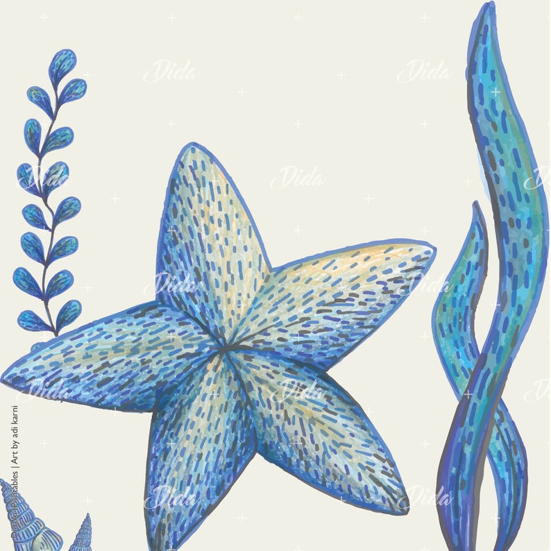 Imprimer Dessin Art étoile De Mer Crayons à Dessin Au Crayon Illustration Originale Téléchargement Immédiat Affiche 20x20cm