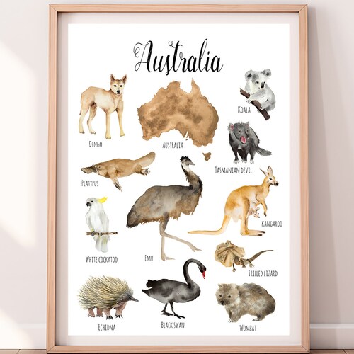 AUSTRALIA Continent Animals Downloadable Prints Watercolor - Etsy Norway AUSTRALIA Continent Animals Downloadable Prints Watercolor - Etsy Norway
