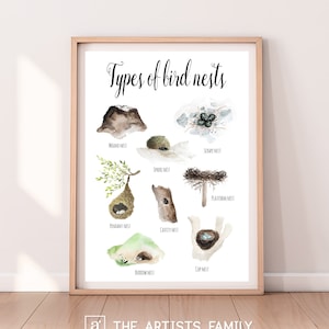 Bird Nests Types Downloadable Prints WaterColor Montessori Educational Posters Kids Boys Girls Children Rooms Learning Painting Illustration