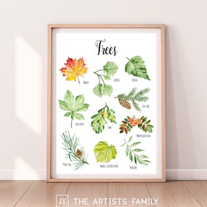 TREES Downloadable Prints Watercolor Montessori Educational Poster Kids Boys Girls Children Rooms Learning Illustration Homeschool Leafs