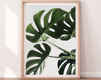 Tropical Palm Leaves Monstera Tree Plant Downloadable Prints Floral Greenery Photography Posters Boho Art Decor Botanical Print Printable