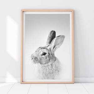Rabbit Downloadable Prints Black and White Wall Art Photography Girls Boys Kids Baby Room Peekaboo Animal Nursery Large Digital To Frame