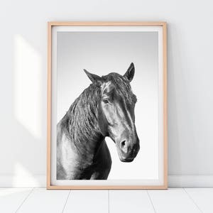 Horse Downloadable Prints Printable Wall Art Decor Photography Black and White Modern Minimalist Peekaboo Animal Nursery Girls Kids Room