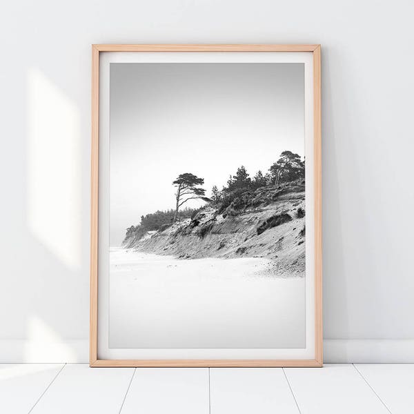 Côtières sable dunes plage bord de mer téléchargeable impression noir et blanc photographie nature pin arbre paysage grand poster numérique Wall Art