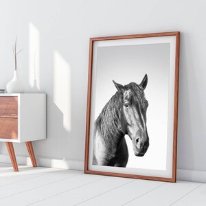 Horse Downloadable Prints Printable Wall Art Decor Photography Black ...