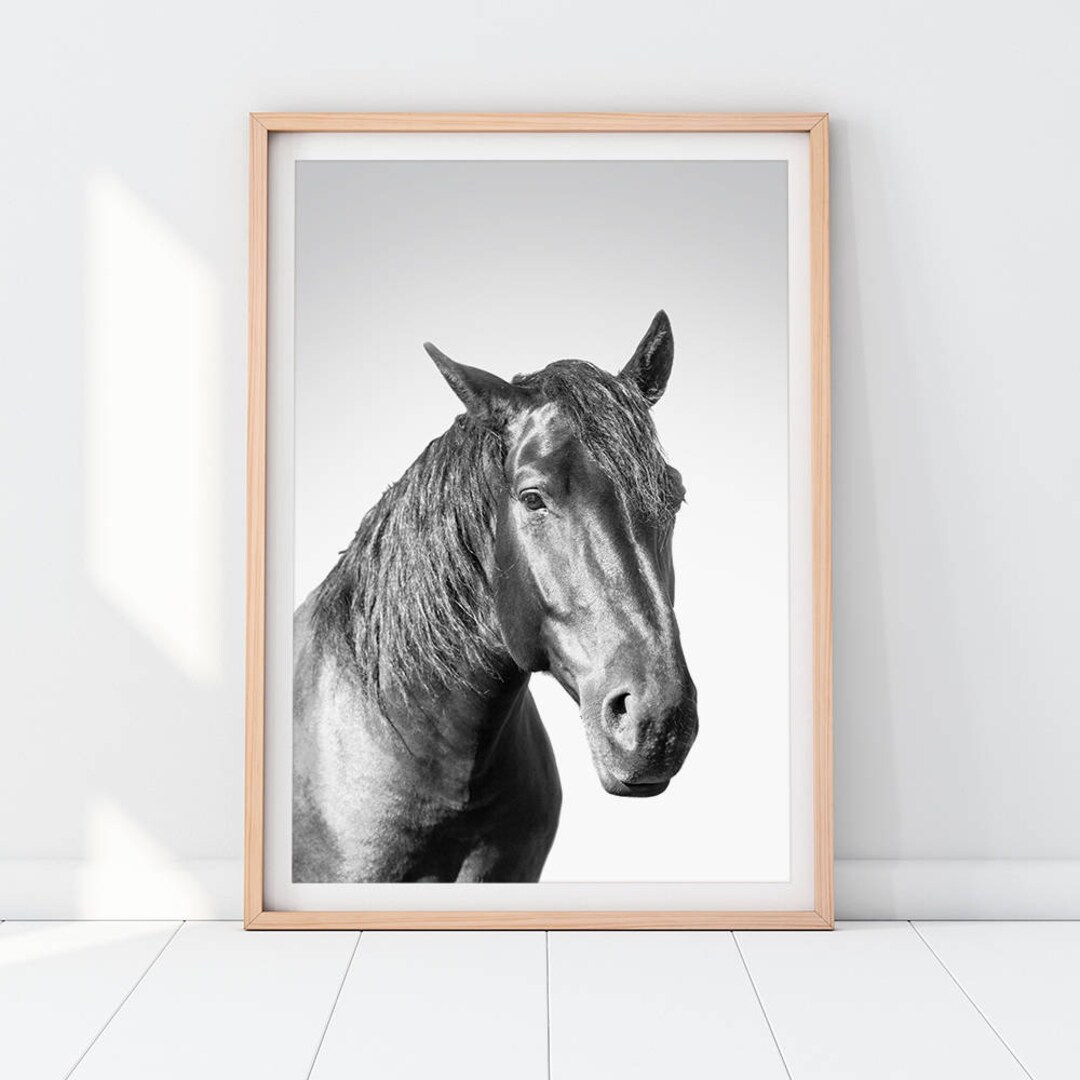 Horse Downloadable Prints Printable Wall Art Decor Photography Black ...