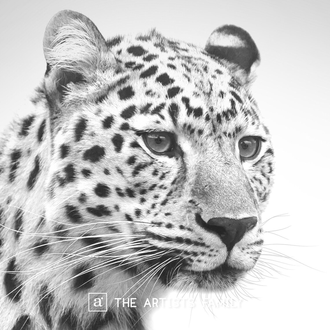 Leopard Downloadable Prints Black and White Wall Art Etsy