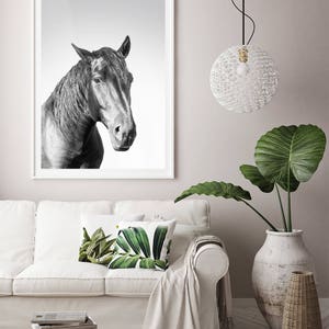 Horse Downloadable Prints Printable Wall Art Decor Photography Black ...