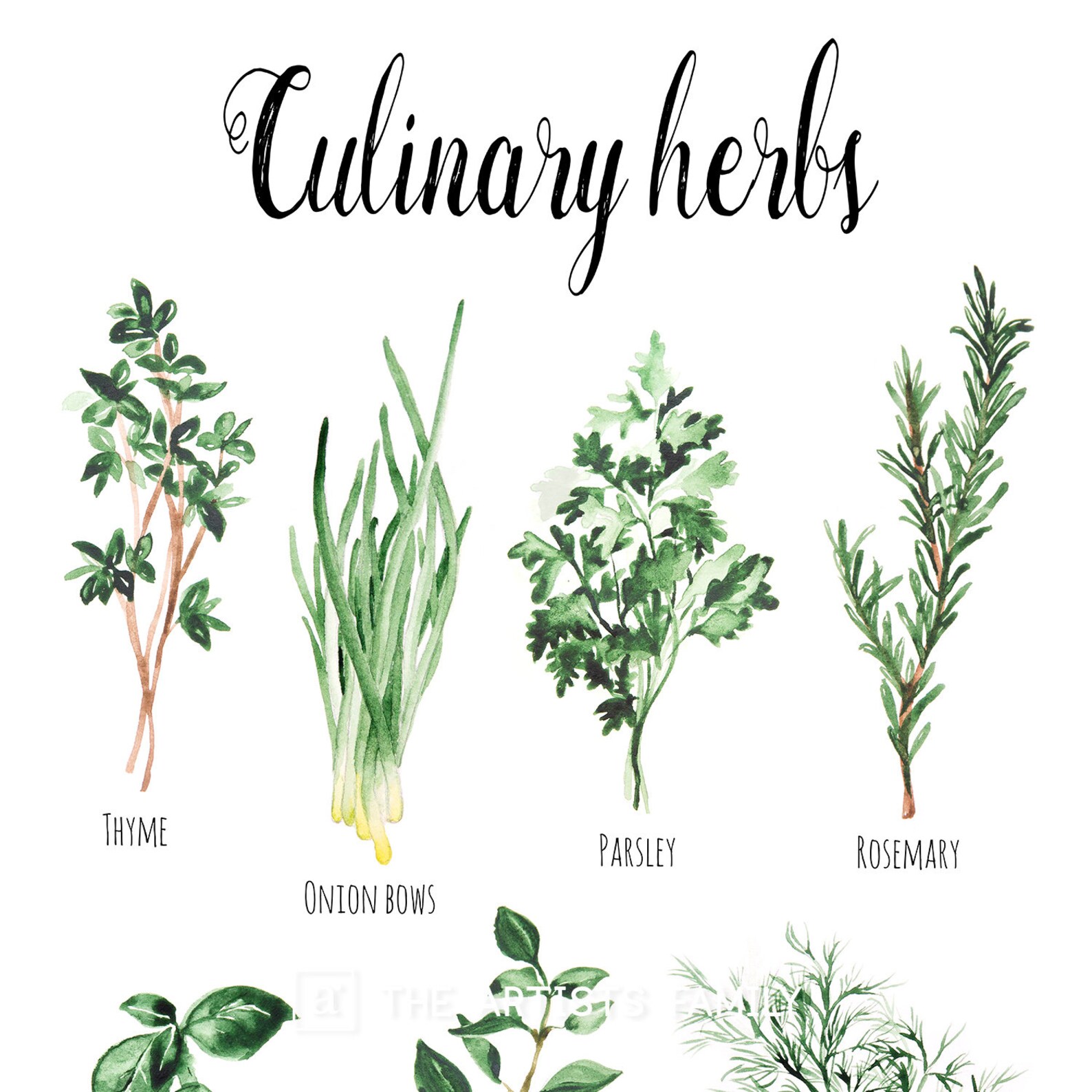 Culinary Herbs Downloadable Prints Water Color Montessori - Etsy