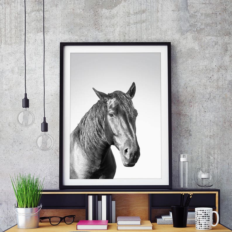 Horse Downloadable Prints Printable Wall Art Decor Photography - Etsy