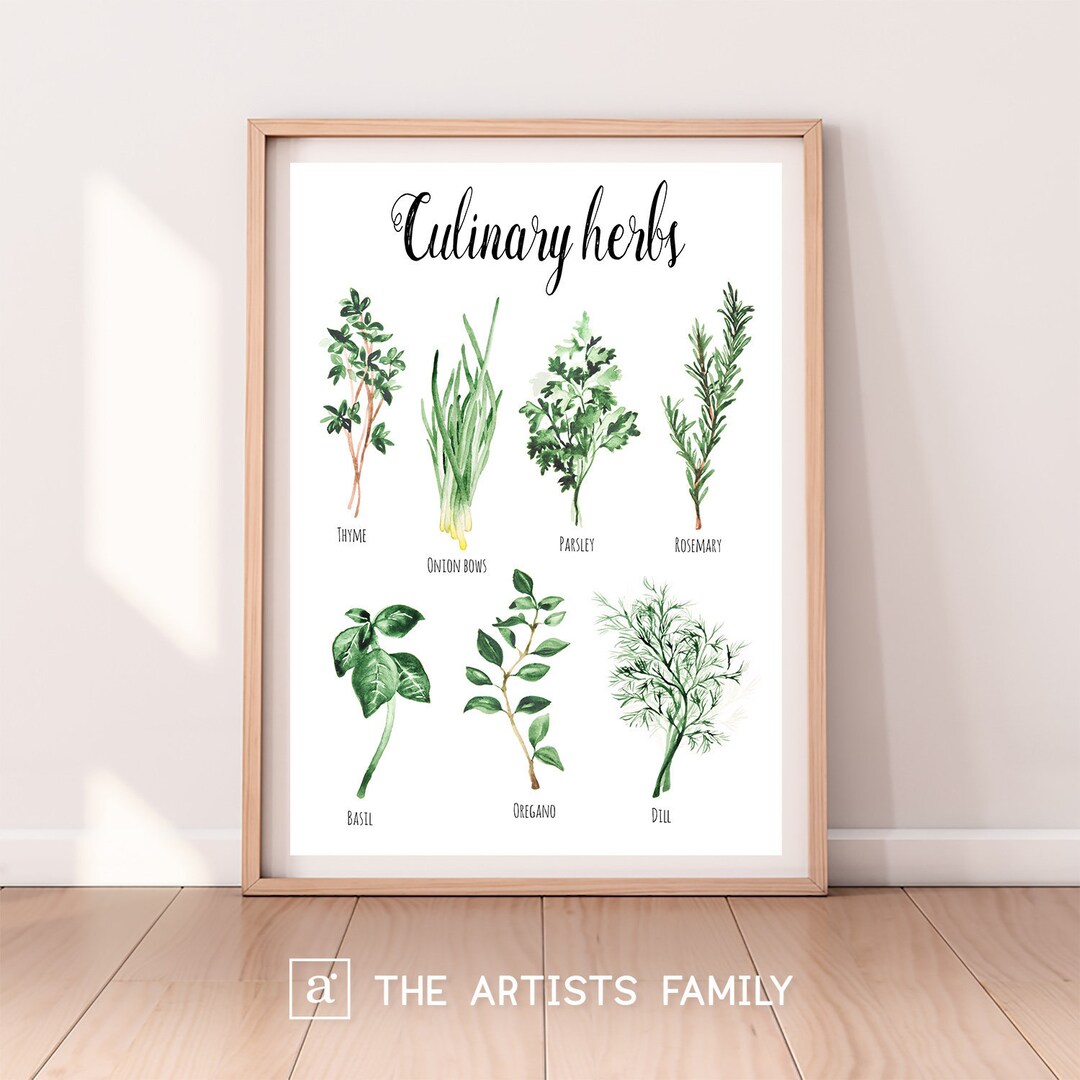 Culinary Herbs Downloadable Prints Water Color Montessori Educational ...
