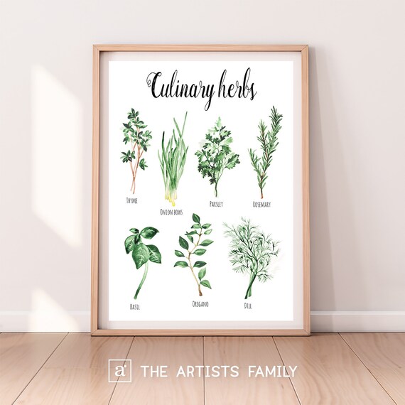Culinary Herbs Downloadable Prints Water Color Montessori | Etsy