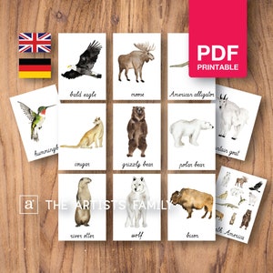 NORTH AMERICA Continent Card Material Montessori Nomenclature - Etsy