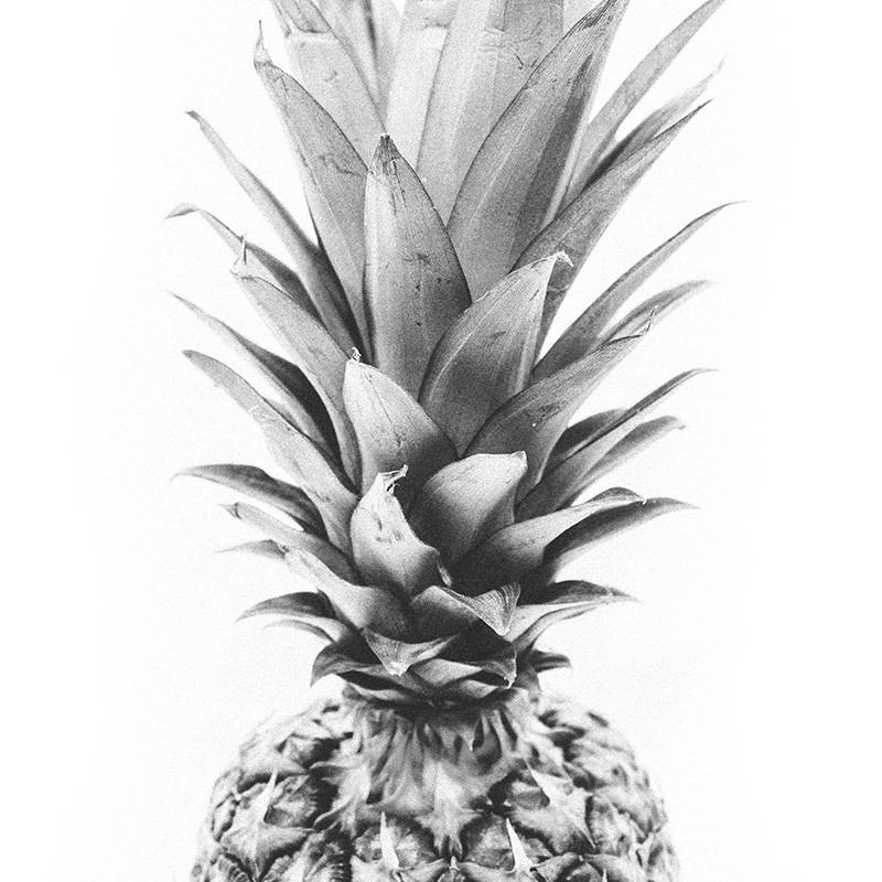Pineapple Print Downloadable Prints Black and White Art | Etsy