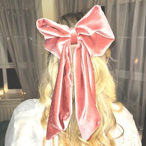 Può includere: Un grande fiocco per capelli in velluto rosa polvere, caratterizzato da un nodo centrale strutturato e due lunghi nastri che ricadono verso il basso. Il tessuto presenta la tipica lucentezza morbida e riflettente del velluto.