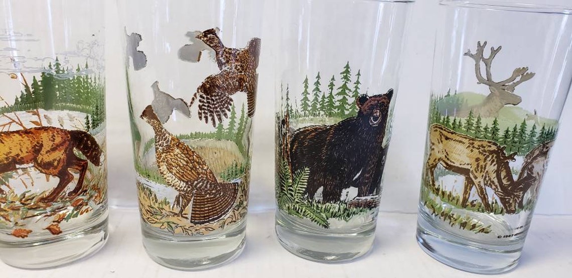 Vintage Irving oil Canadian Wildlife Glasses 1987 set of 5 Etsy