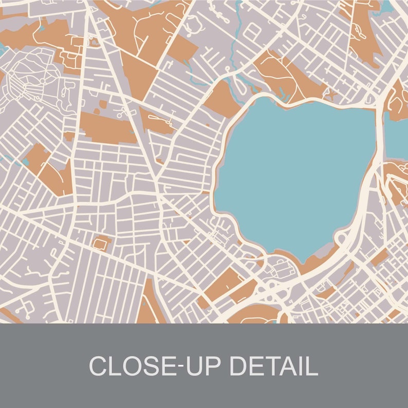 Pu&ograve; includere: Una mappa dettagliata di una citt&agrave; con un grande lago al centro. La mappa &egrave; in tonalit&agrave; di marrone, grigio e blu. Le strade sono mostrate in linee bianche. La mappa ha il testo "CLOSE-UP DETAIL" in basso.