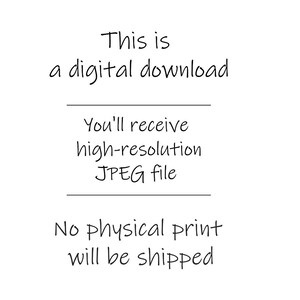 Op de afbeelding: Witte achtergrond met zwarte handgeschreven tekst. De tekst luidt: "Dit is een digitale download. U ontvangt een JPEG-bestand met hoge resolutie. Er wordt geen fysieke afdruk verzonden."