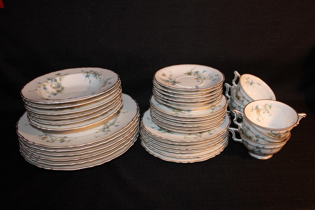 RARE Theodore Haviland Limoges France FLEURETTE Fine China Set for